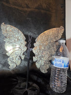 Pyrite Butterfly