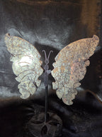Pyrite Butterfly